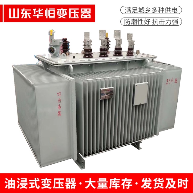 S13-10000/35大姚大姚大姚电力变压器厂家