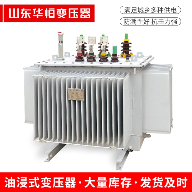 S13-10000/35大姚大姚大姚电力变压器